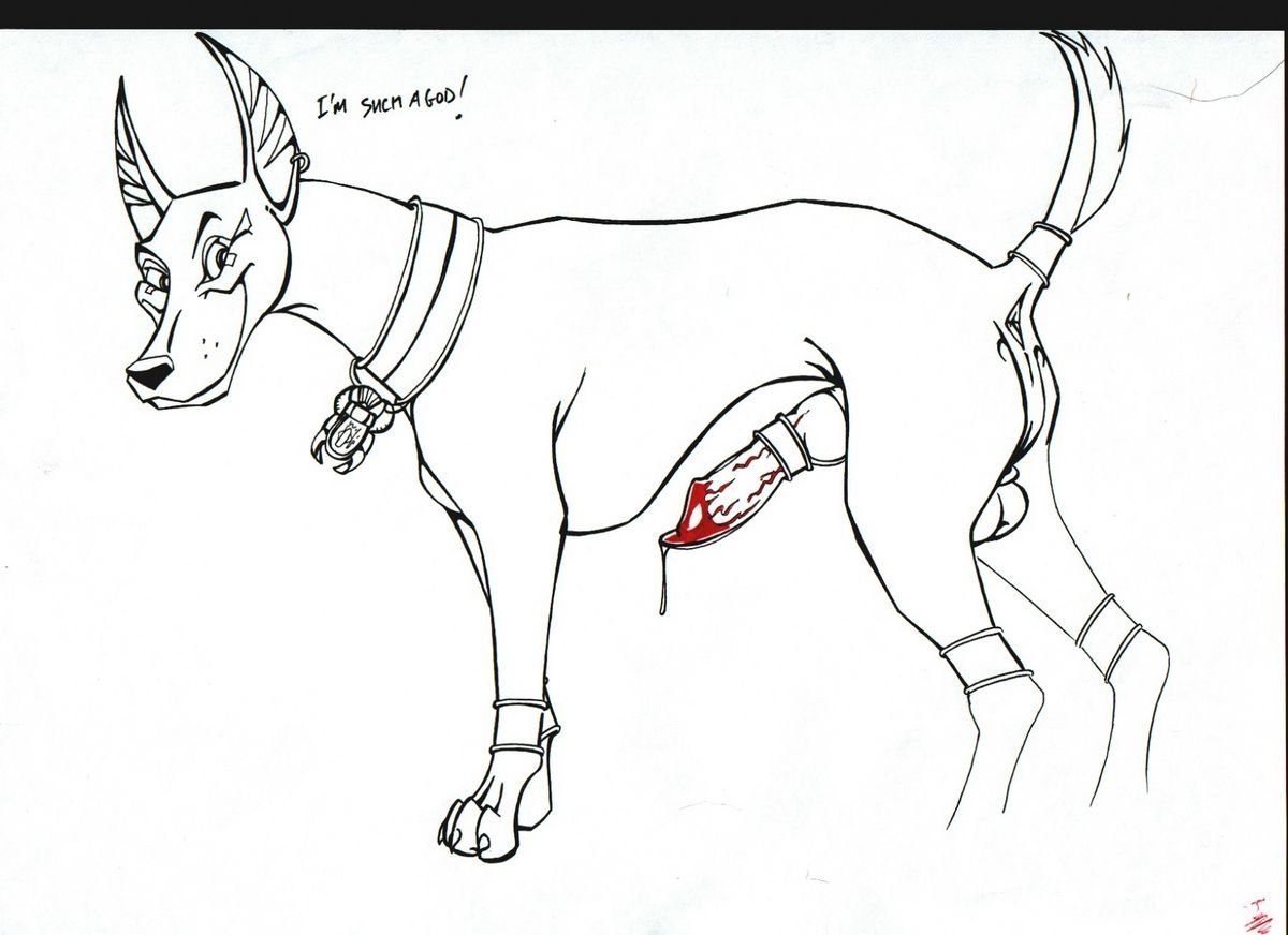 Рисунки для срисовки собаки карандашом Доберман