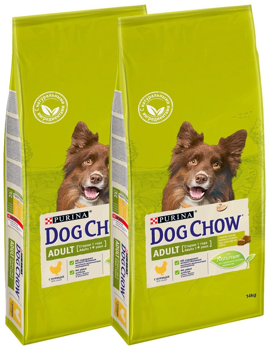 Dog Chow Puppy large Breed