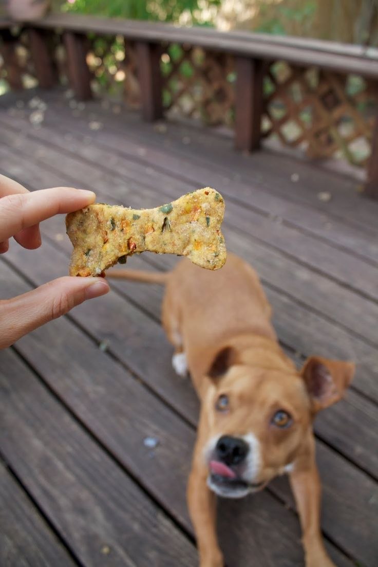 Milk Bone for Dogs