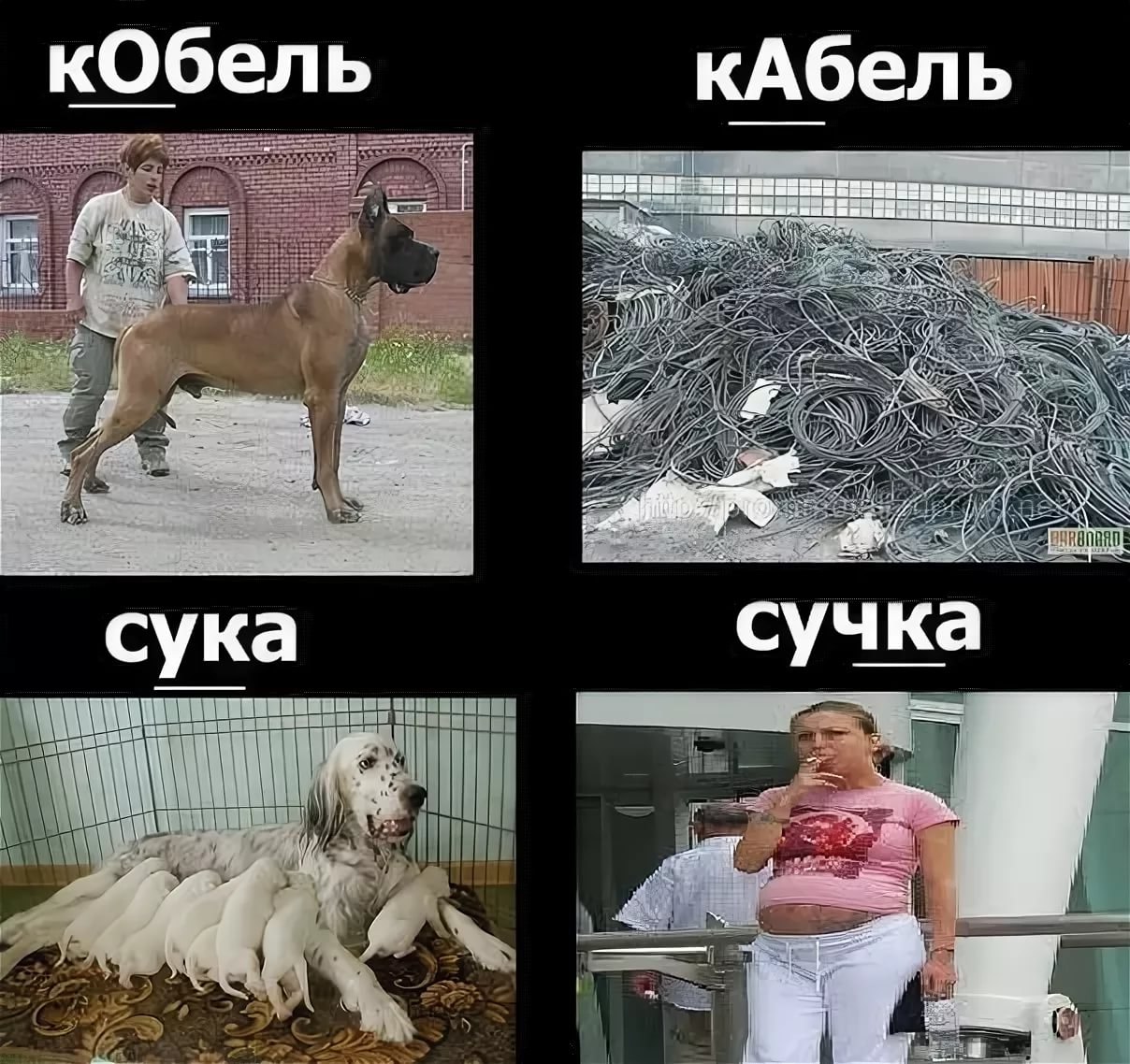 Вы кабели а вы сучки