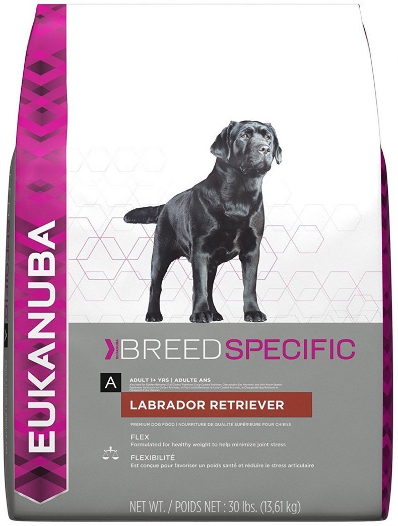 Eukanuba Labrador Retriever