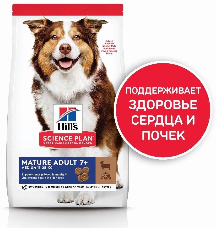 Корм Hill's Science Plan сухой корм для пожилых собак (7+) крупных пород