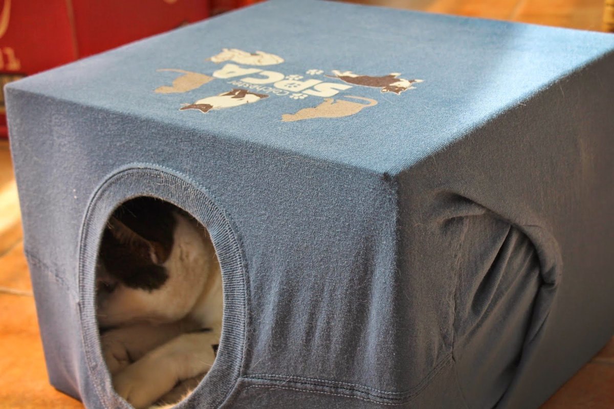 Домик для кошки из коробок. Домик для кошки из картонной коробки. Домик для кошки из футболки. Домик для кошки из коробки и футболки. Домик для кошки своими руками из коробки