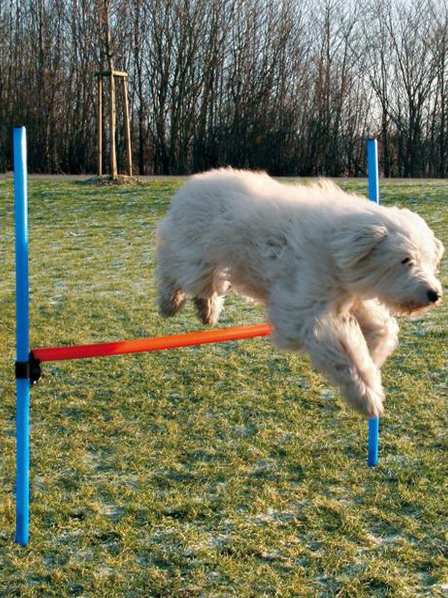 Набор для аджилити Trixie Jump