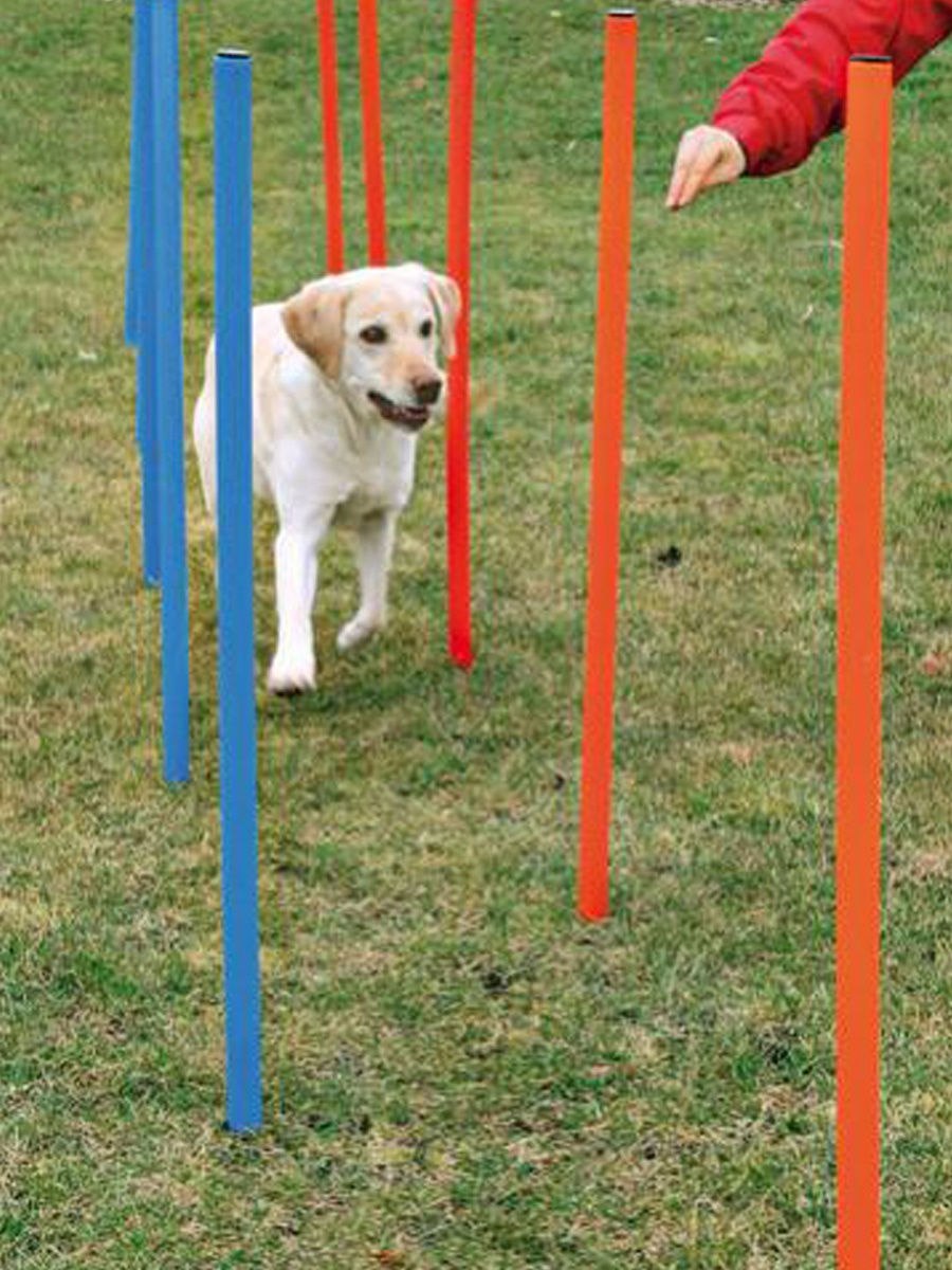 Набор для аджилити для собак Trixie Dog activity