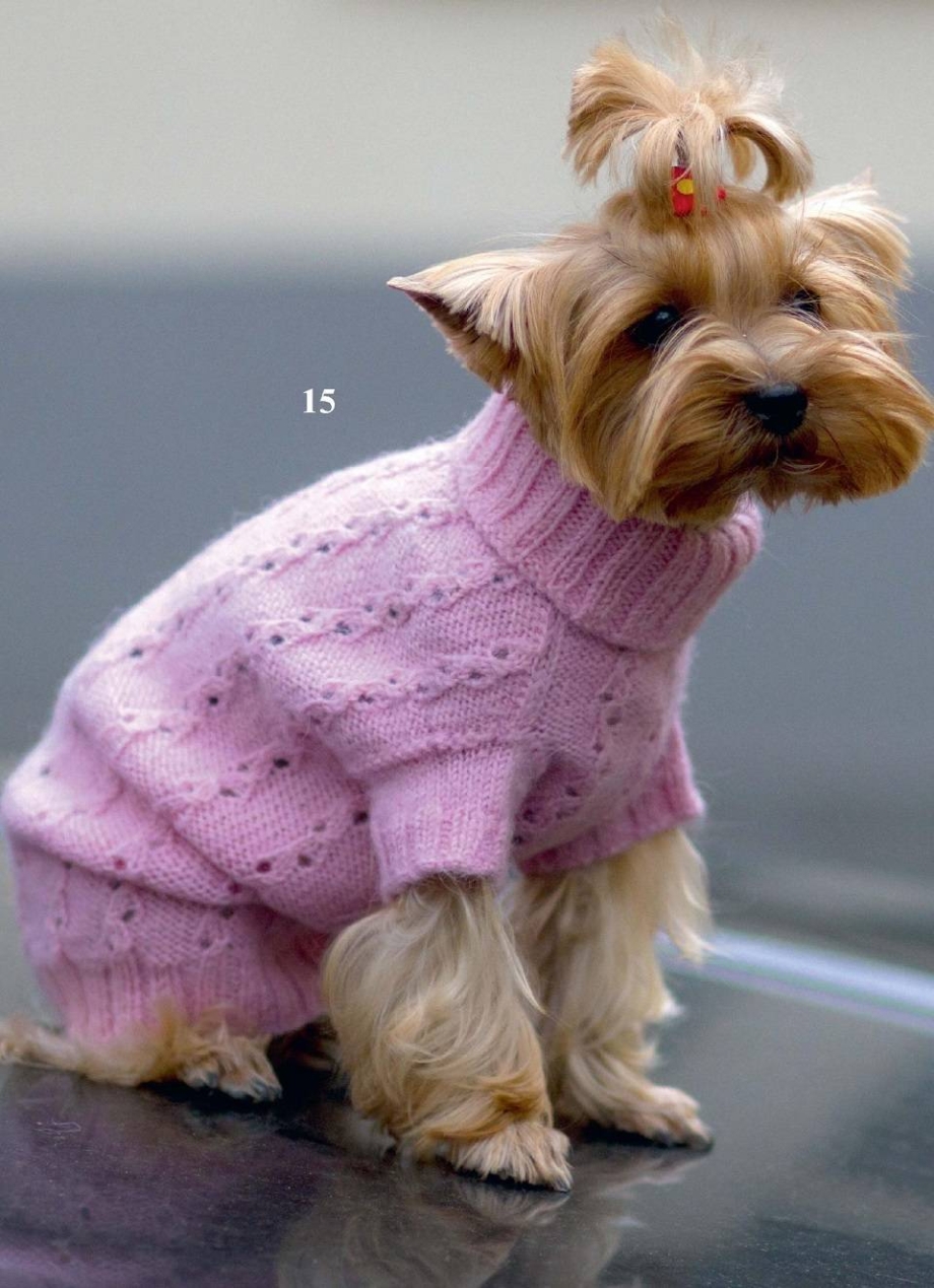Кофты йорков. Розовый Йоркширский терьер. Вязаная одежда для собак. Свитер для собак. Вязаная одежда для йорков.