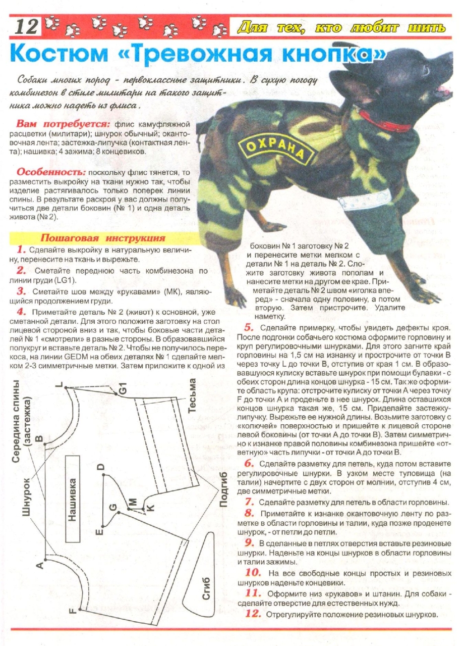 Свитер для таксы