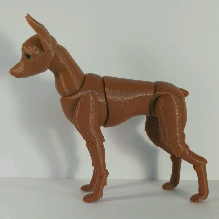 BJD собаки