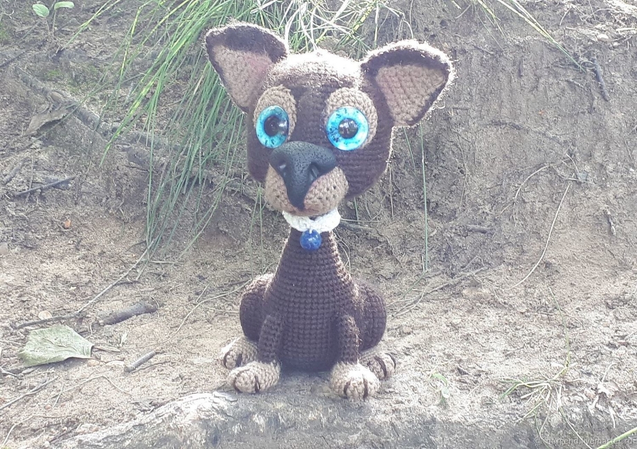Russian Toy собака
