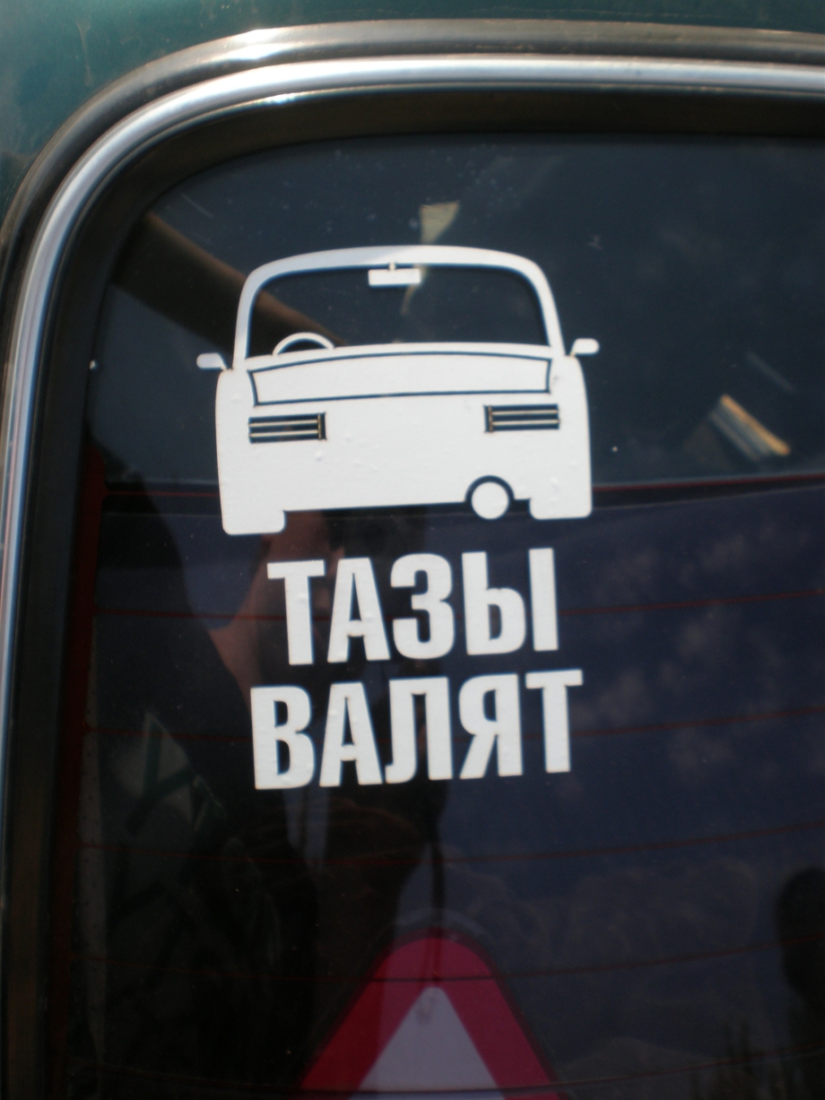 Тазы валят