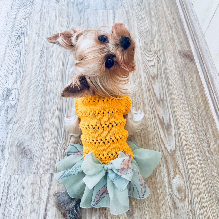Вязаные платья для собак йорков