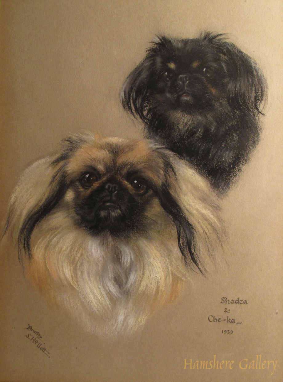 Пекинес 1910
