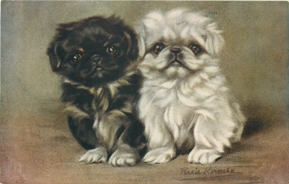 Spanish Postcards with Pekingese and a girl