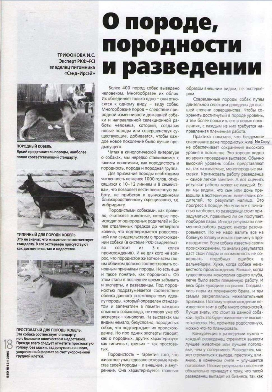 Породность собаки это