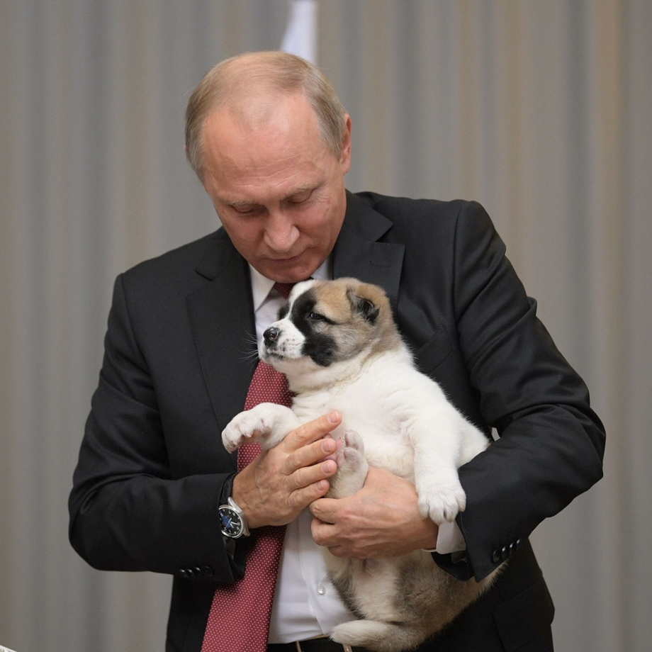 Конни собака президента
