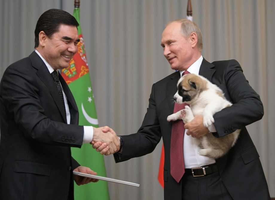 Президент Туркменистана алабай