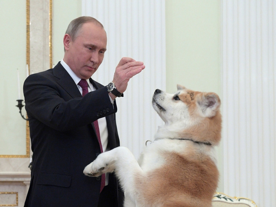 Туркменский алабай Путина
