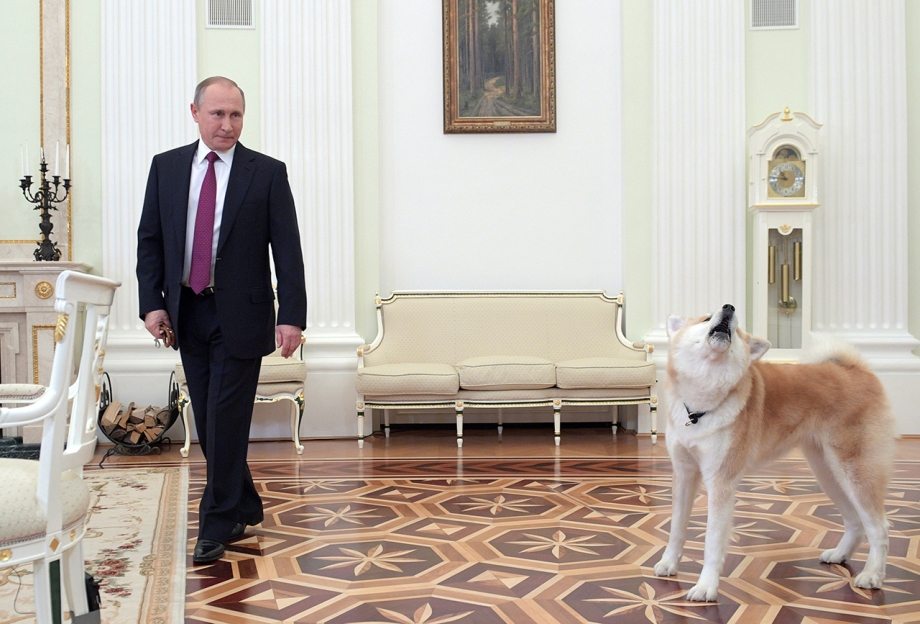 Путин и алабай