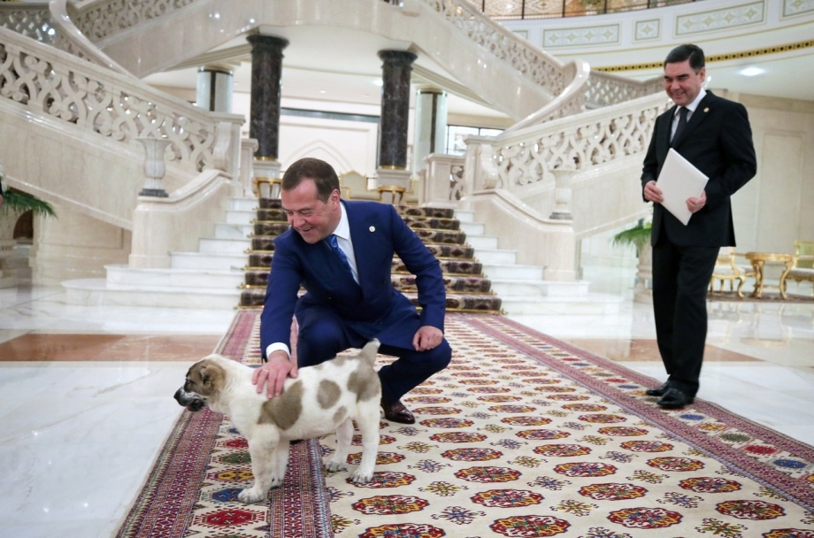 Президент Туркмении Гурбангулы Бердымухамедов