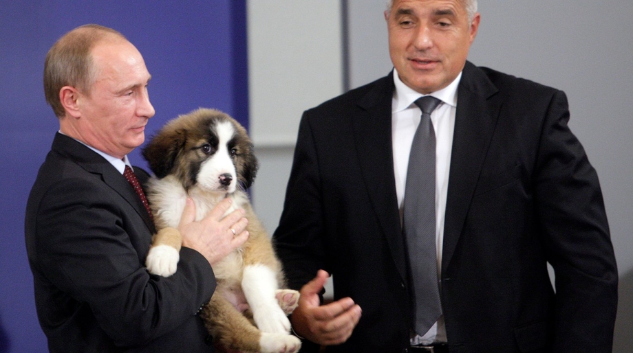 Путин с собакой