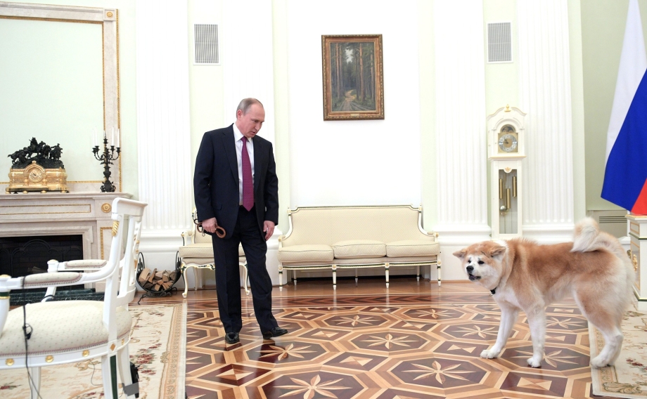 Собака Путина