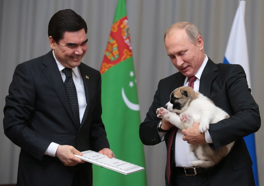 Собака Путина Акита ину