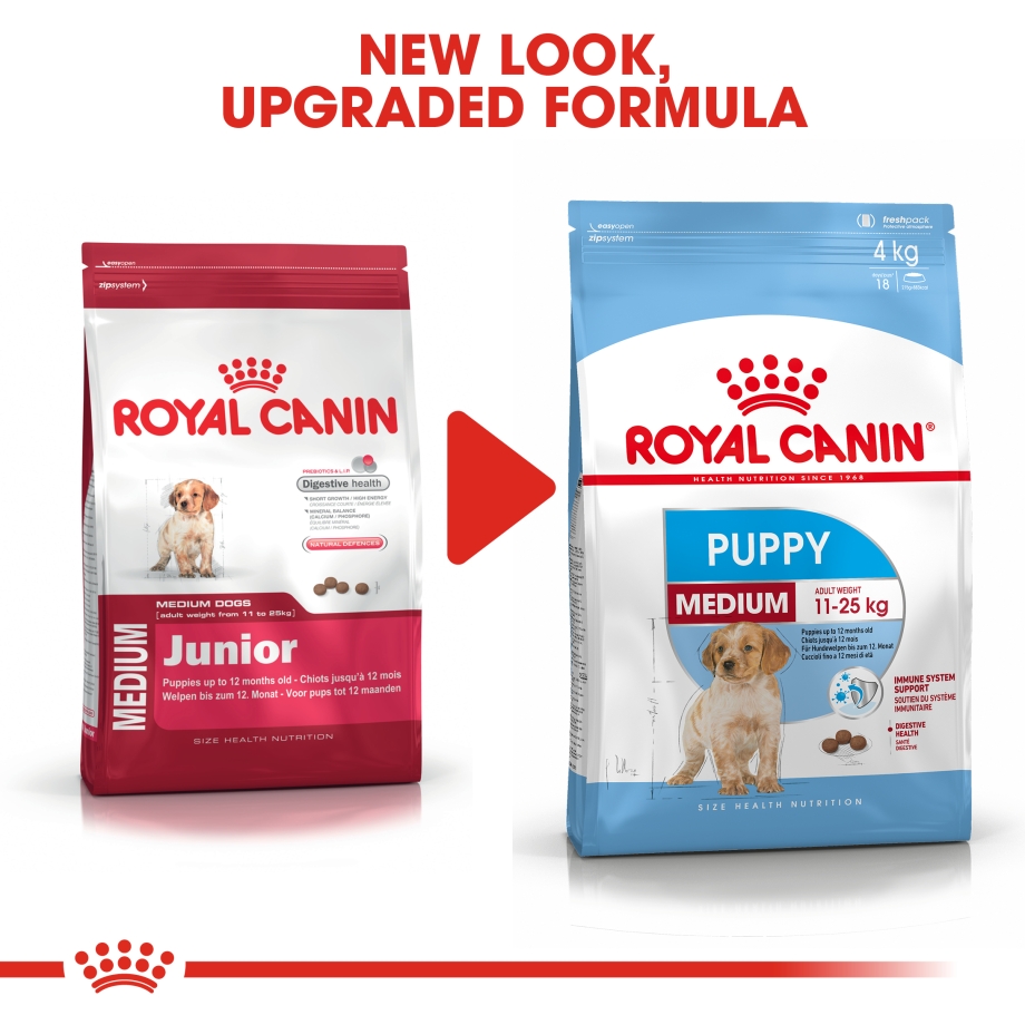Royal Canin Dachshund Puppy