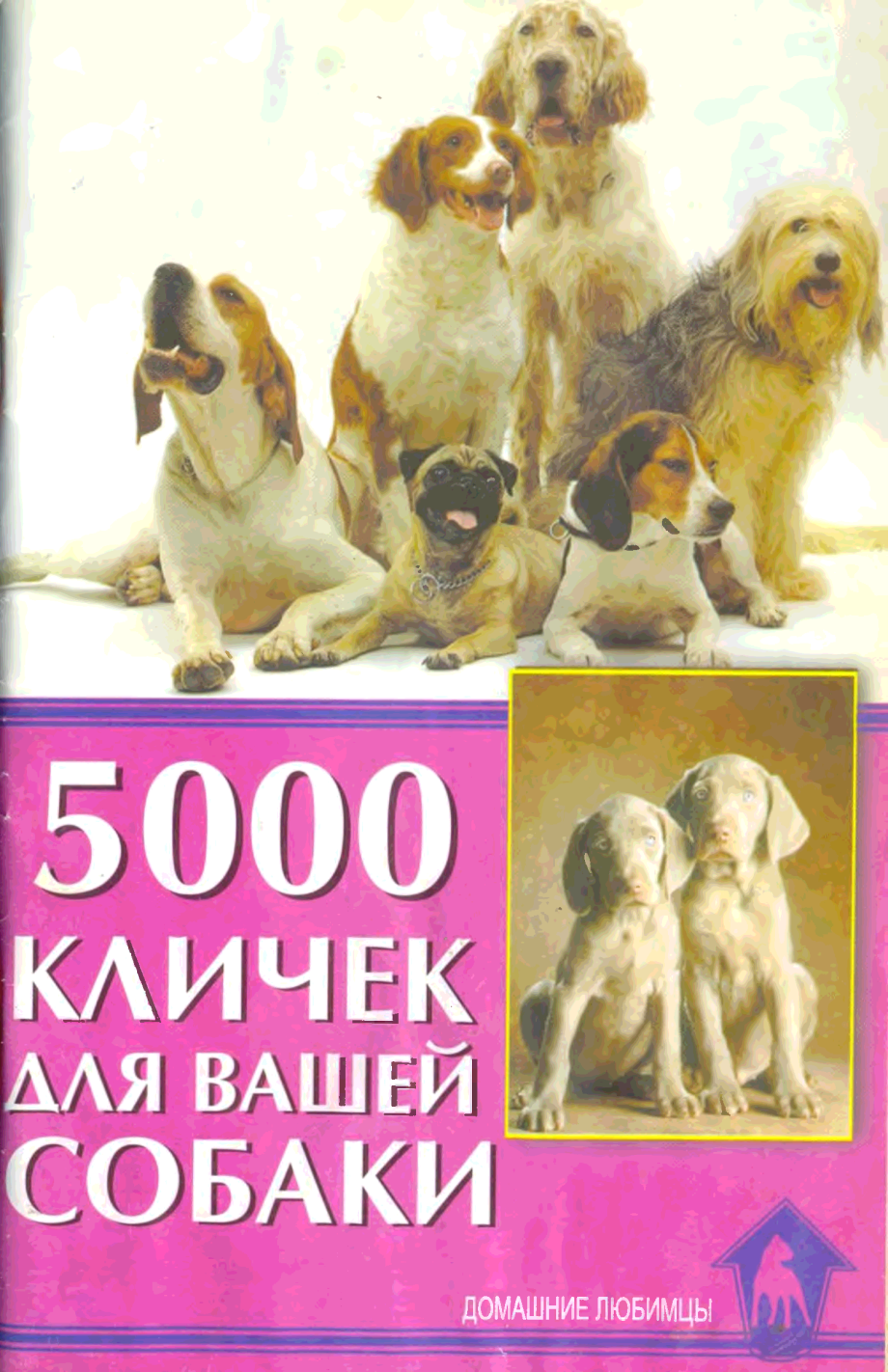 5000 Кличек для вашей собаки