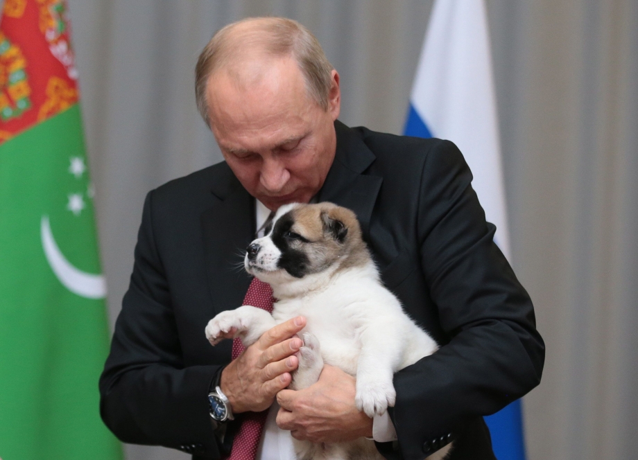 Путину подарили собаку