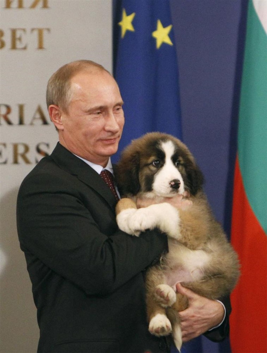 Медведев в Воронеже 2019