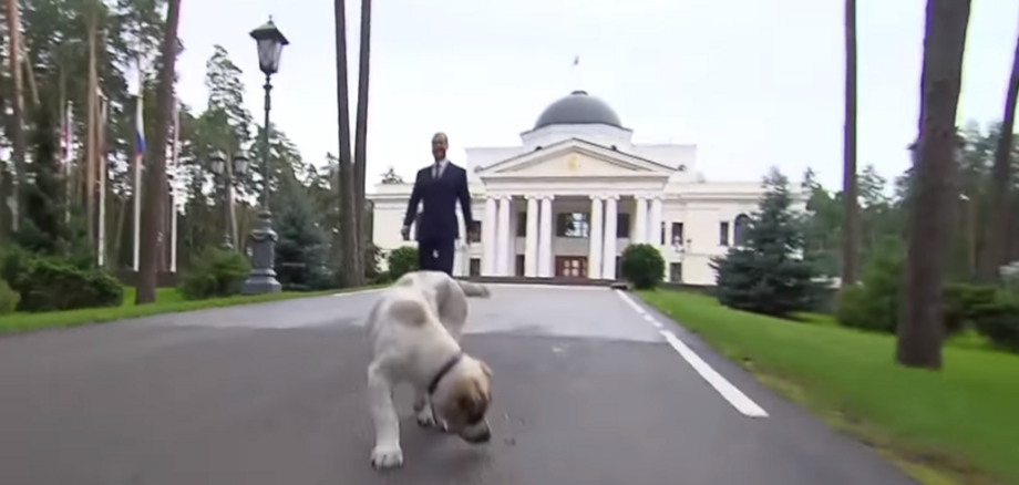 Резиденция Медведева горки 9