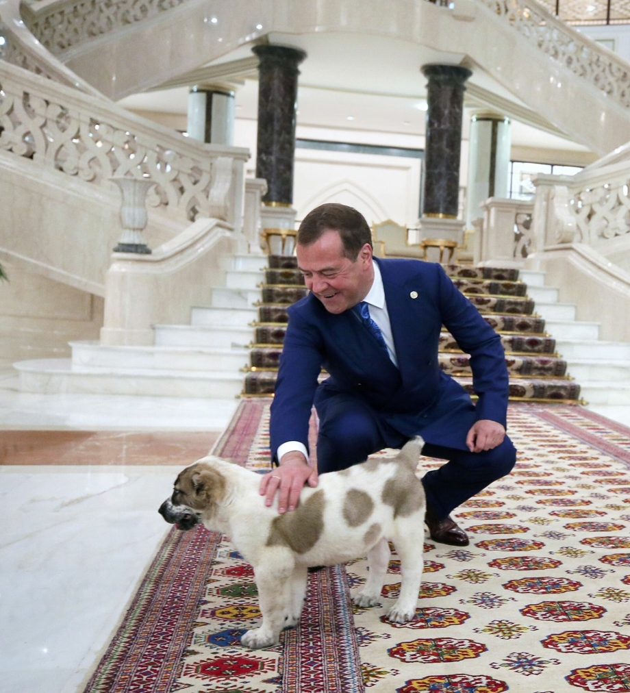 Бердымухамедов алабай