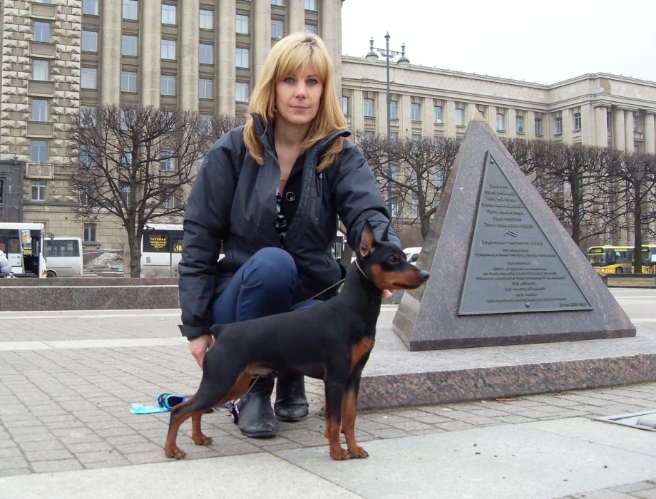 Светлана Венедиктова Цвергпинчер
