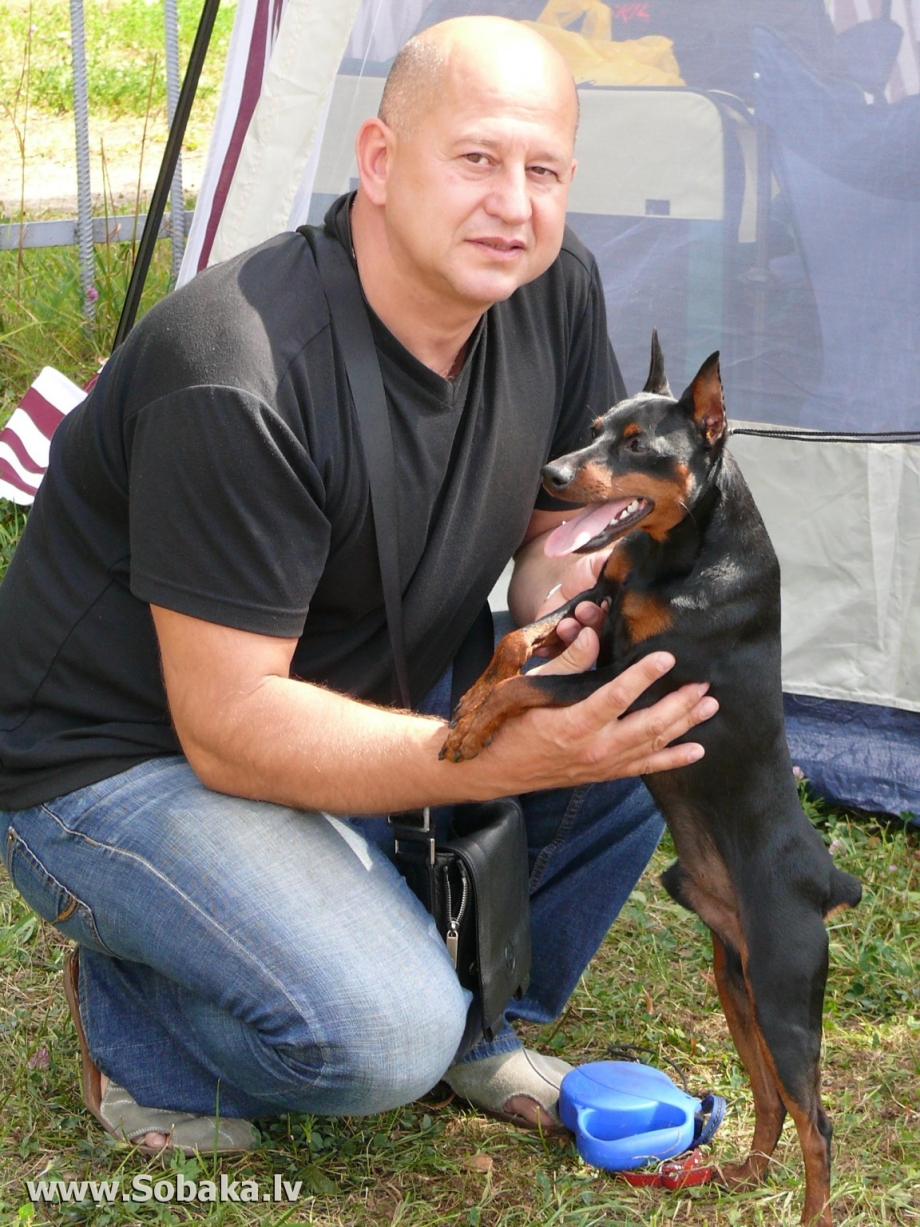 Пинчер с человеком