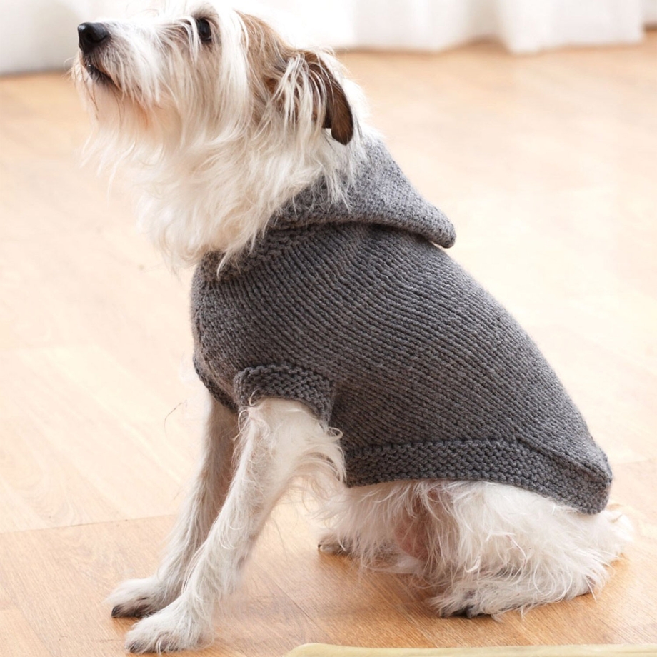 Вязаный свитер для собаки