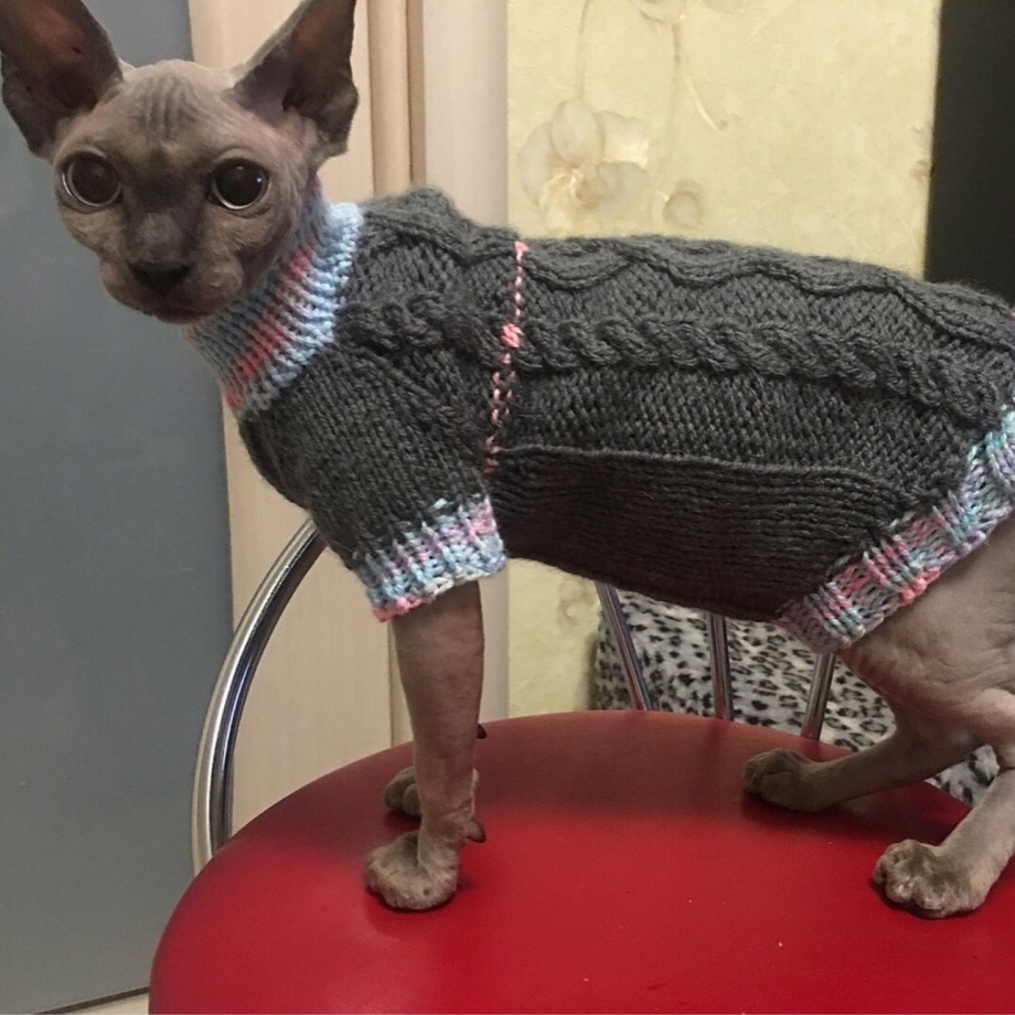 Кофта для чихуахуа