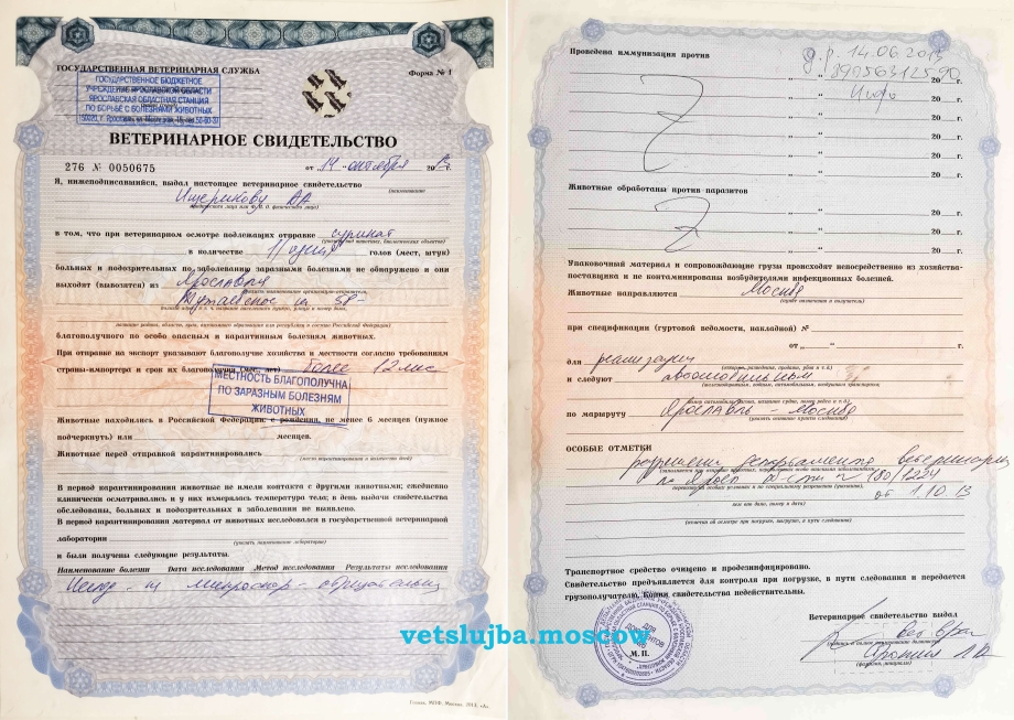 Ветеринарное свидетельство на вывоз животного