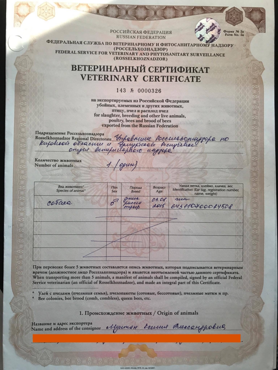 Ветеринарный сертификат форма