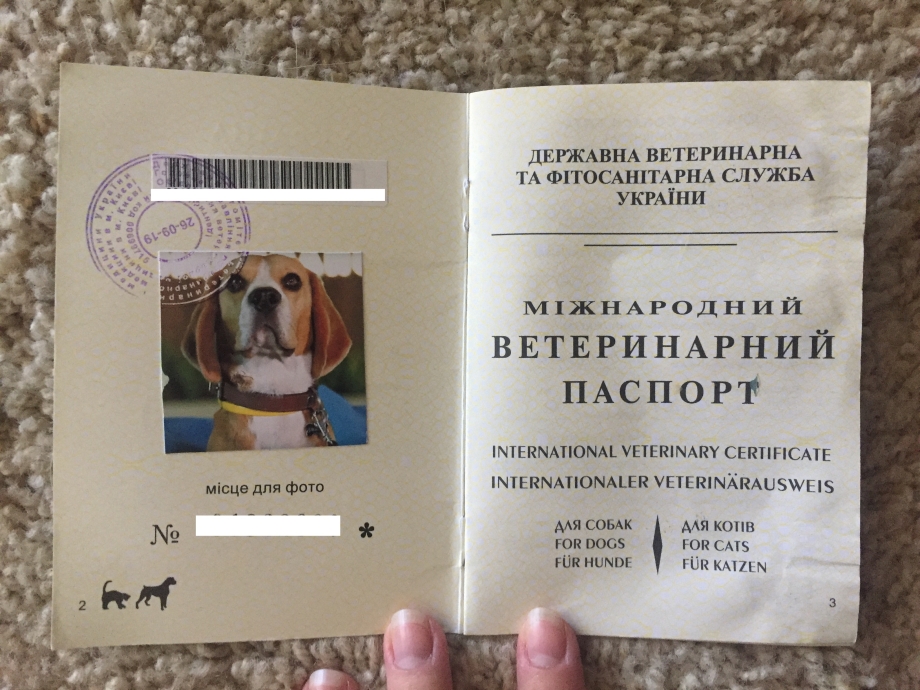 Паспорт собаки