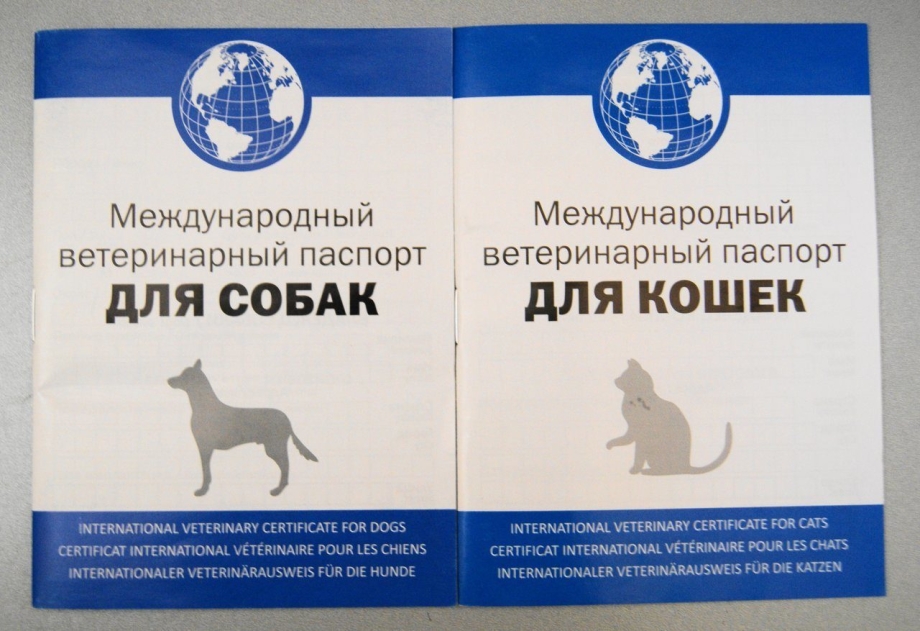 Международный ветеринарный паспорт для собак и кошек