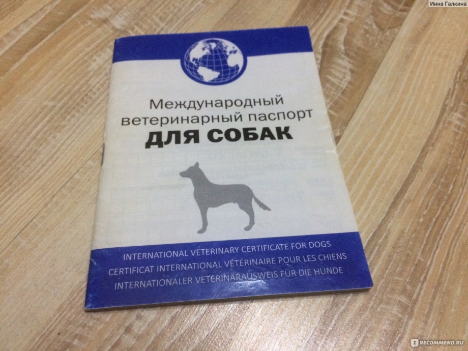 Ветеринарный Международный паспорт АВЗ