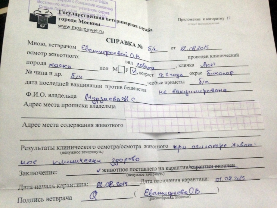 Справка о клиническом осмотре животного