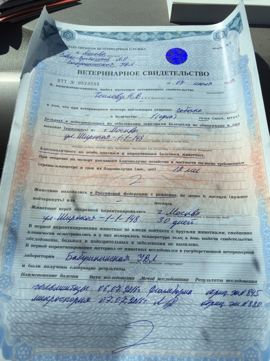 Ветеринарное свидетельство 1-вет