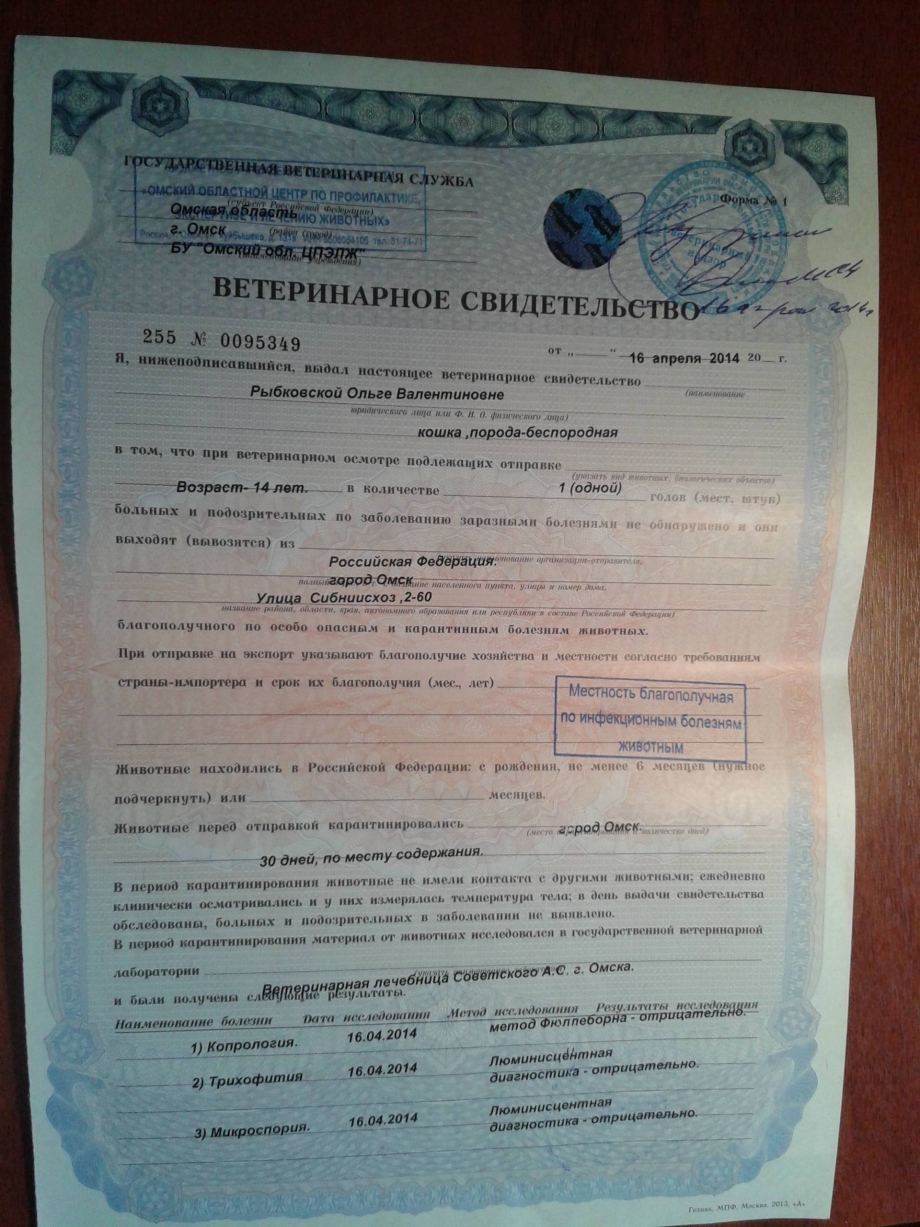 Ветсправка для перевозки животных