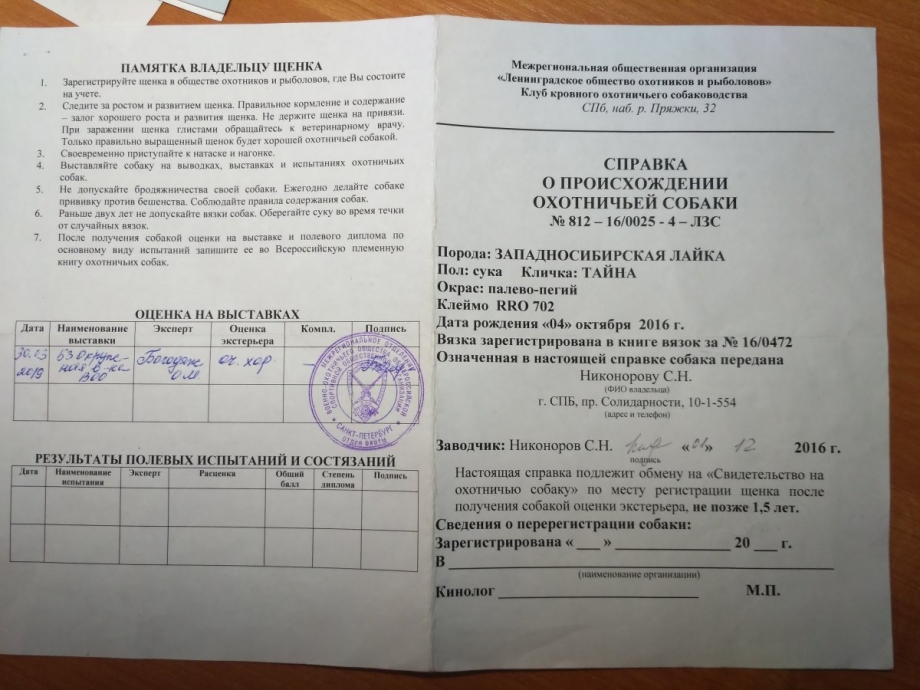 Страхование животных картинки