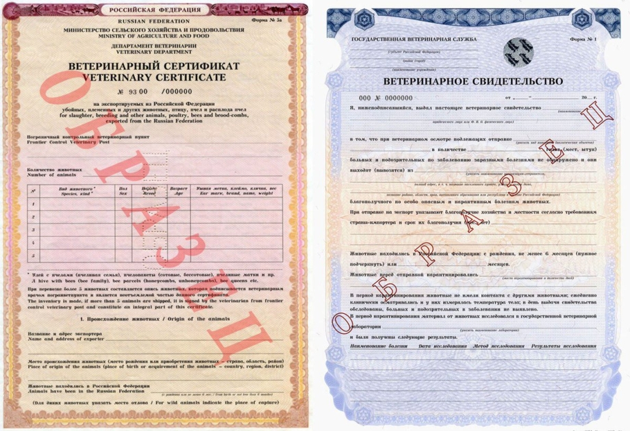 Справка для перевозки животных в самолете