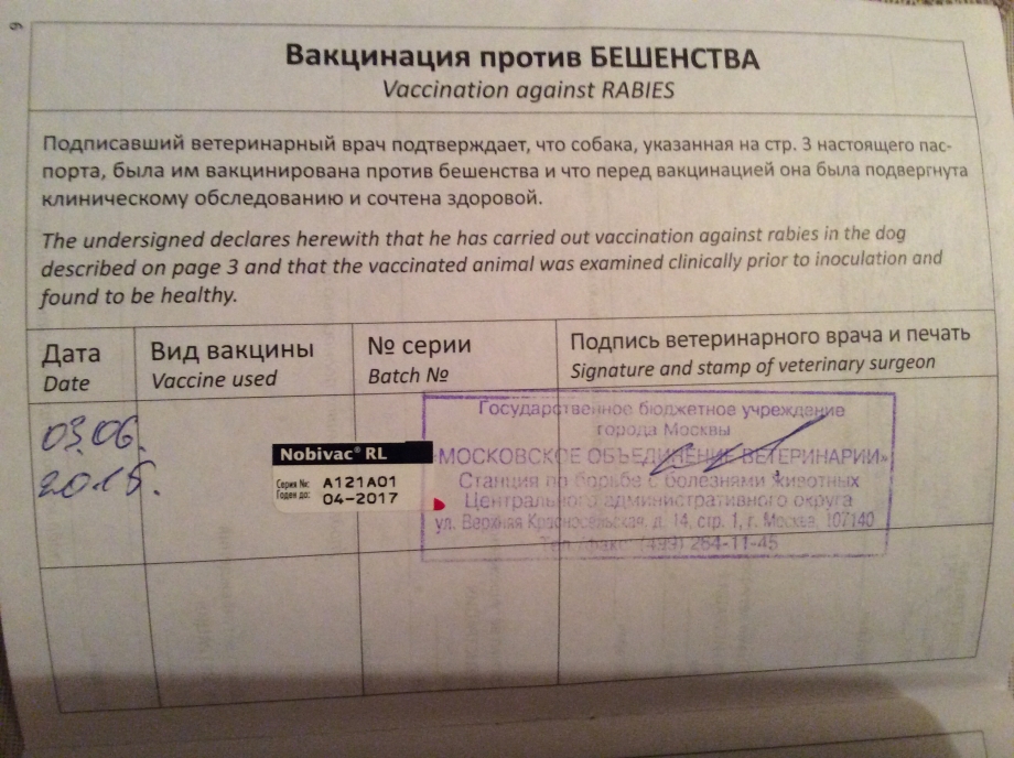 Справка о прививке от бешенства