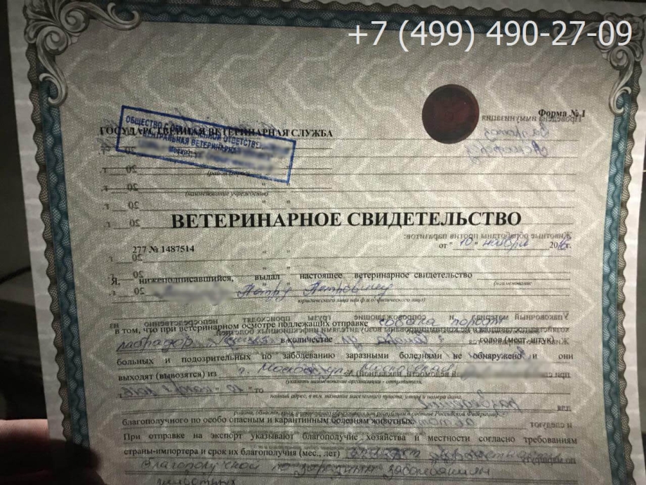 Ветеринарное свидетельство ф1