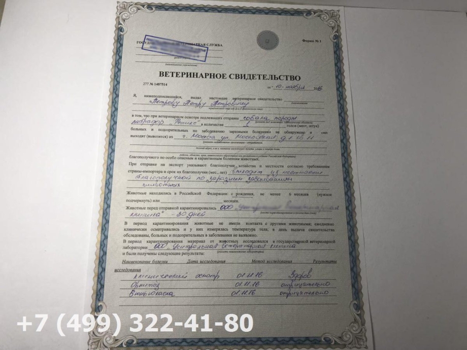 Ветеринарная справка форма