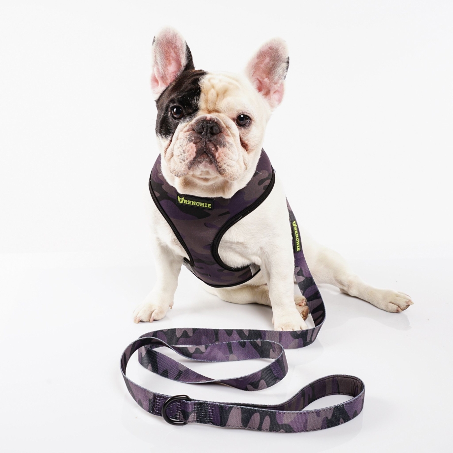 Шлейка для французского бульдога Frenchie